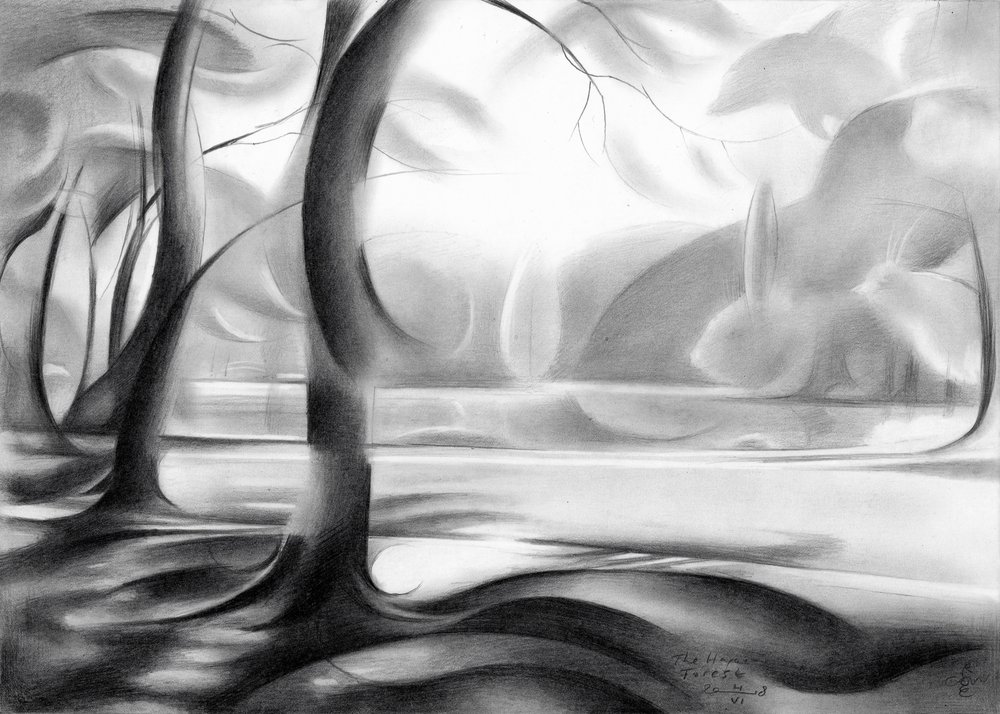 Reflejo del bosque místico de Corné Akkers