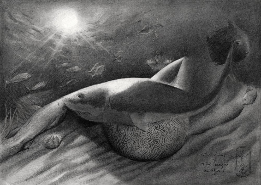 El tiburón y la sirena de Corné Akkers