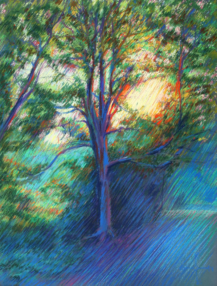 Sendero del bosque bañado por el sol de Corné Akkers