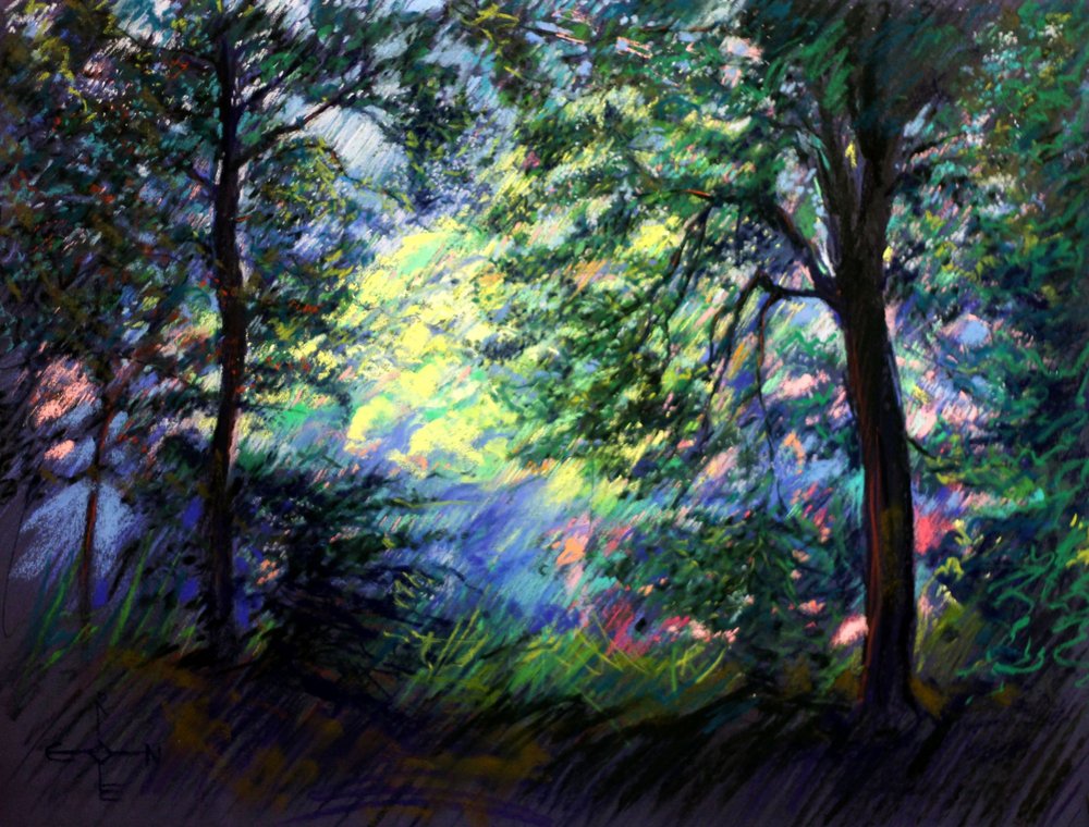 Luz vibrante del bosque de Corné Akkers