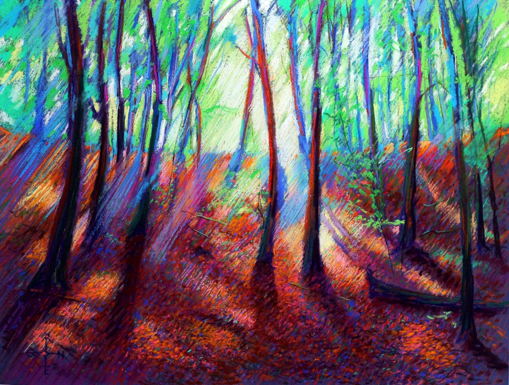 Luz vibrante del bosque de Corné Akkers