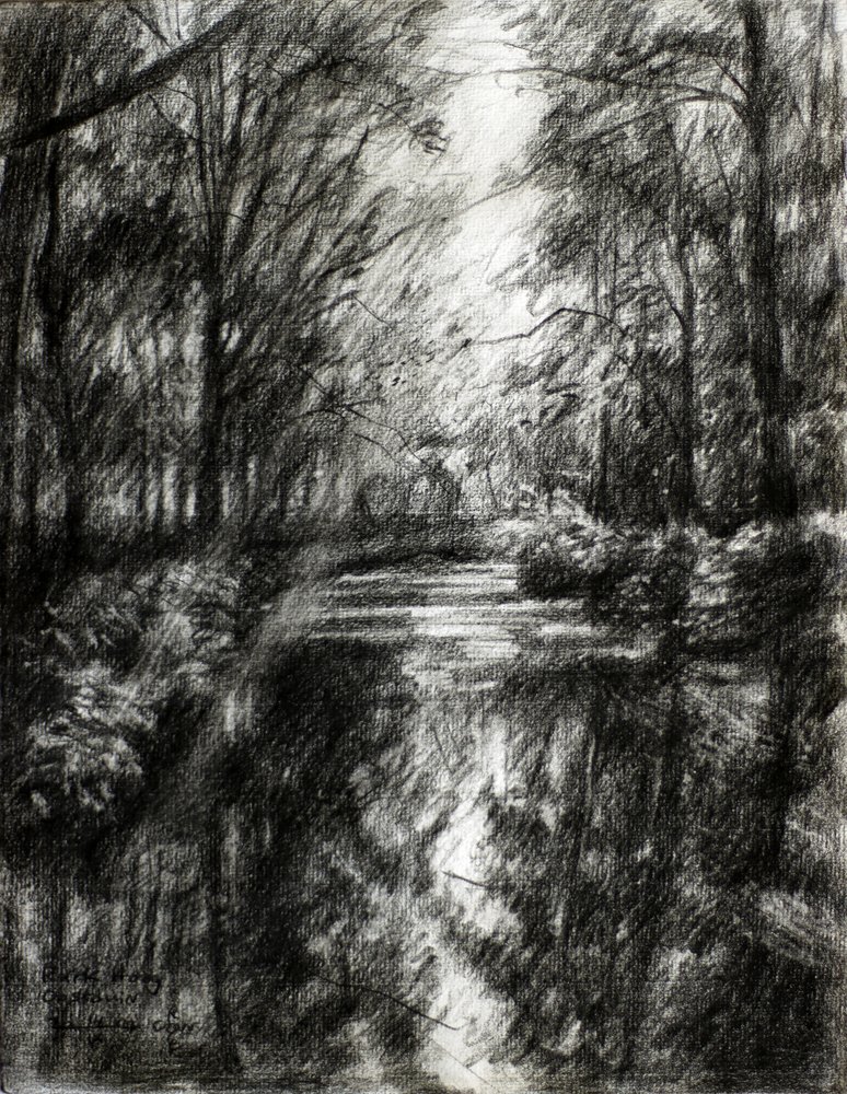 Sendero sinuoso por el bosque de Corné Akkers