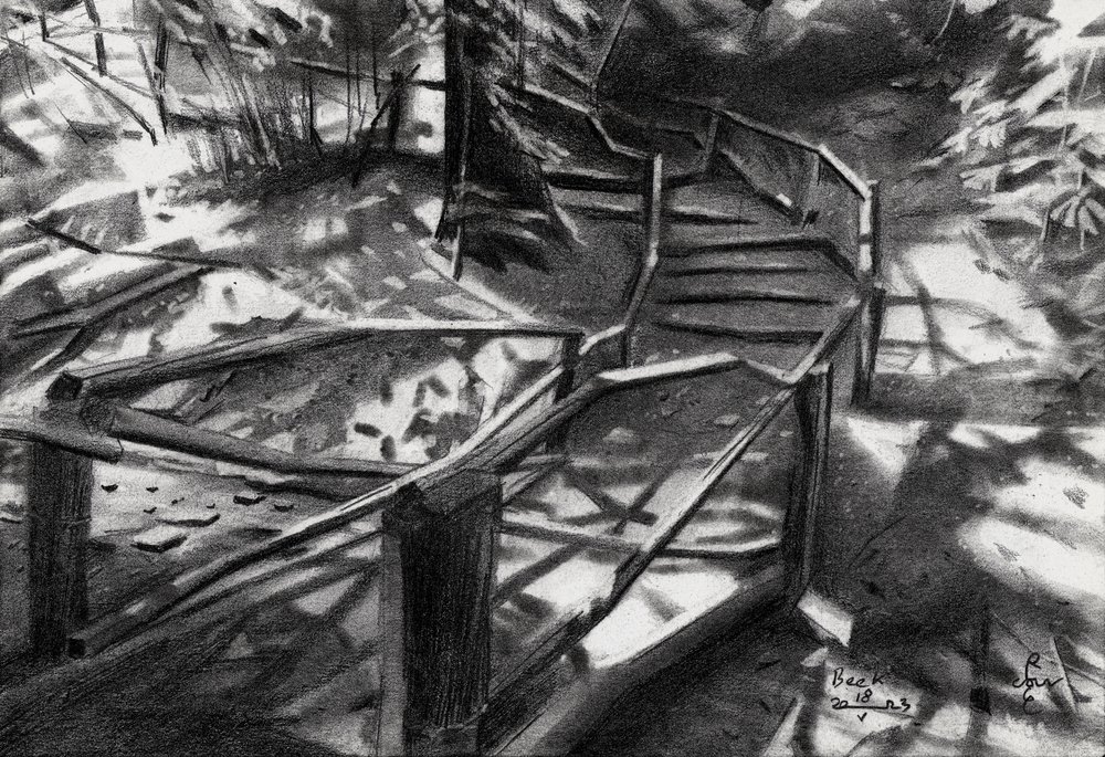 Escaleras sinuosas en el bosque de Corné Akkers