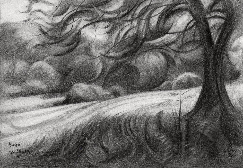 El sinuoso sendero del árbol de Corné Akkers
