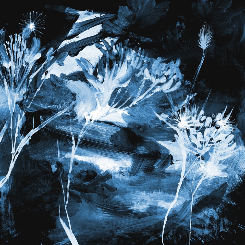 Flores azules de Dan Hobday