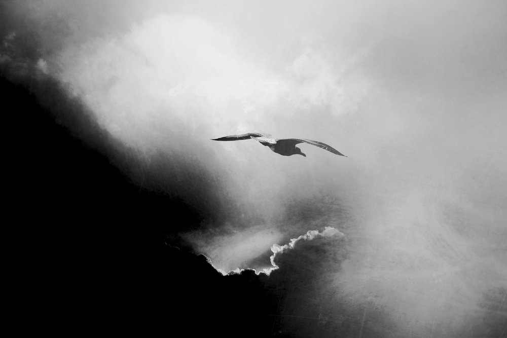  de Daniela Riegler