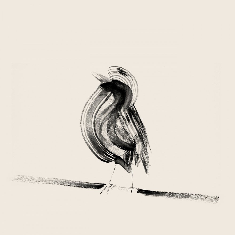 Elegante pájaro de tinta de Danushka Abeygoda