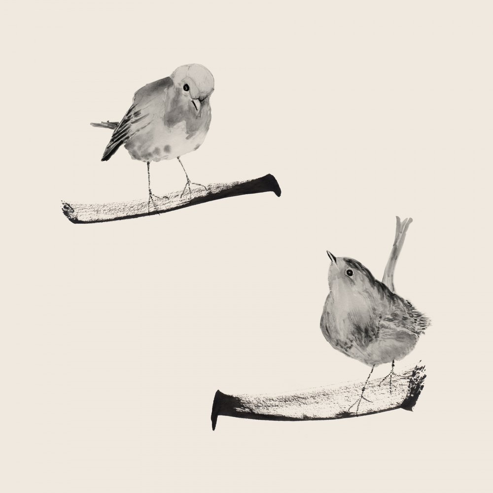 Dos pájaros apacibles de Danushka Abeygoda