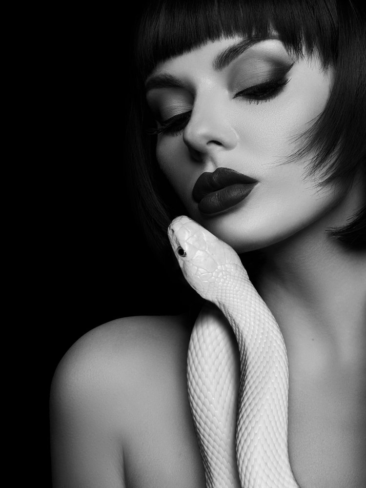La misteriosa belleza de la serpiente blanca de David Drake