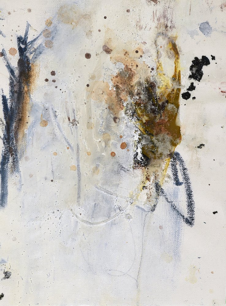 Expresiones abstractas y terrenas de Deb Chaney