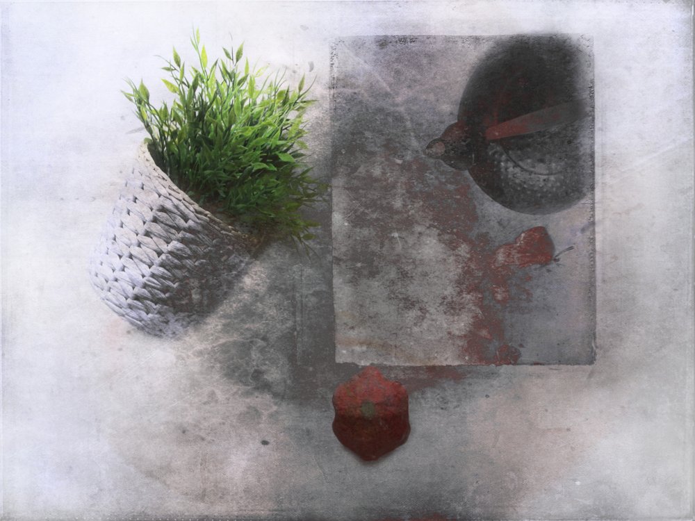  de Delphine Devos