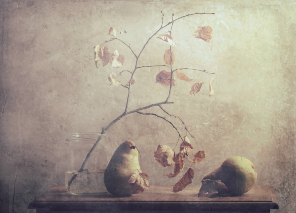  de Delphine Devos
