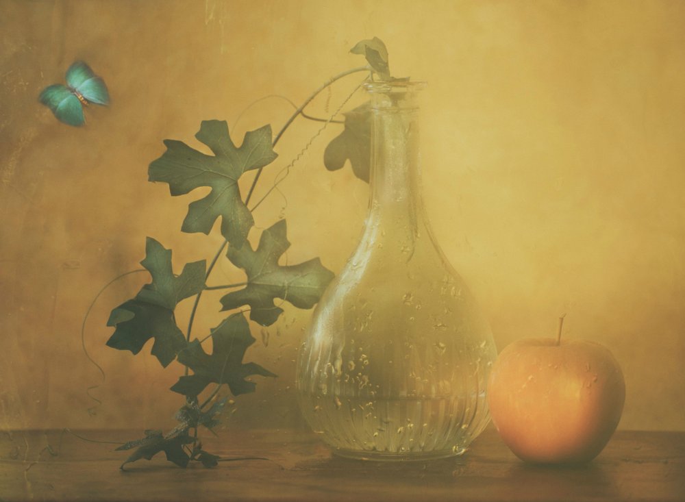  de Delphine Devos