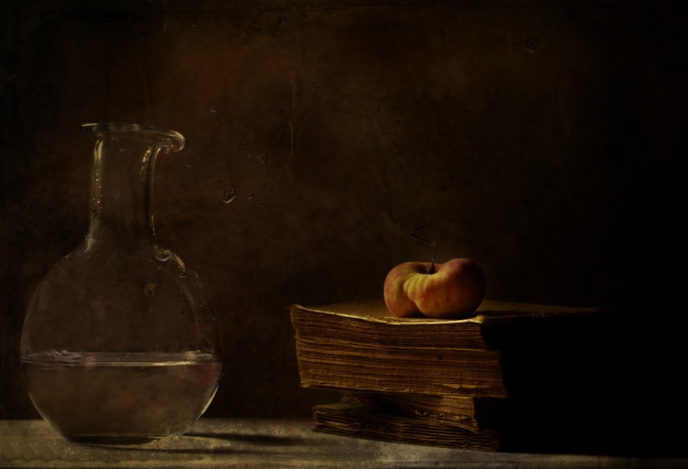  de Delphine Devos