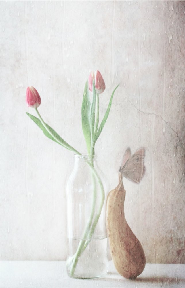  de Delphine Devos