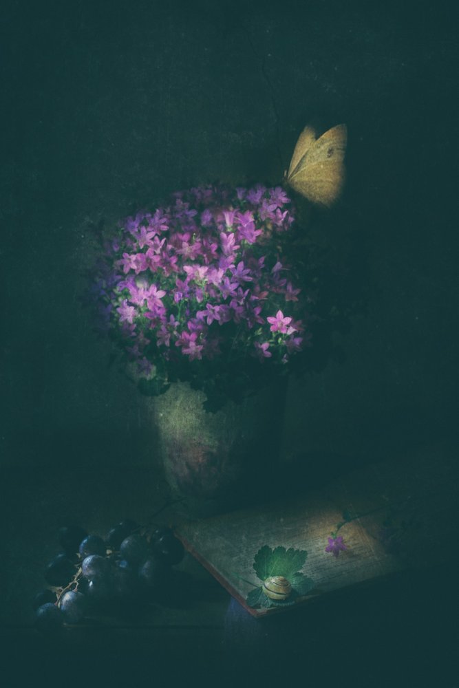 Elegante naturaleza muerta con mariposas de Delphine Devos