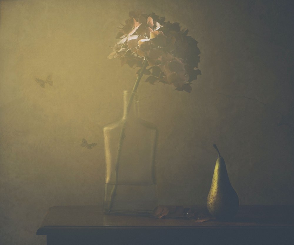  de Delphine Devos