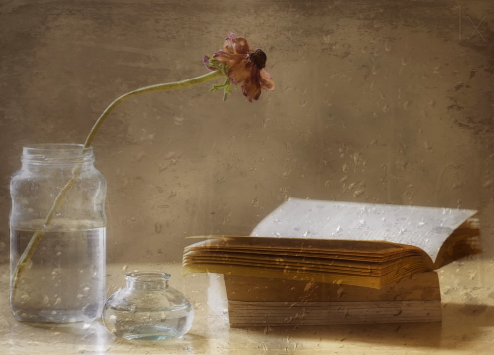 Flor melancólica y libro de Delphine Devos