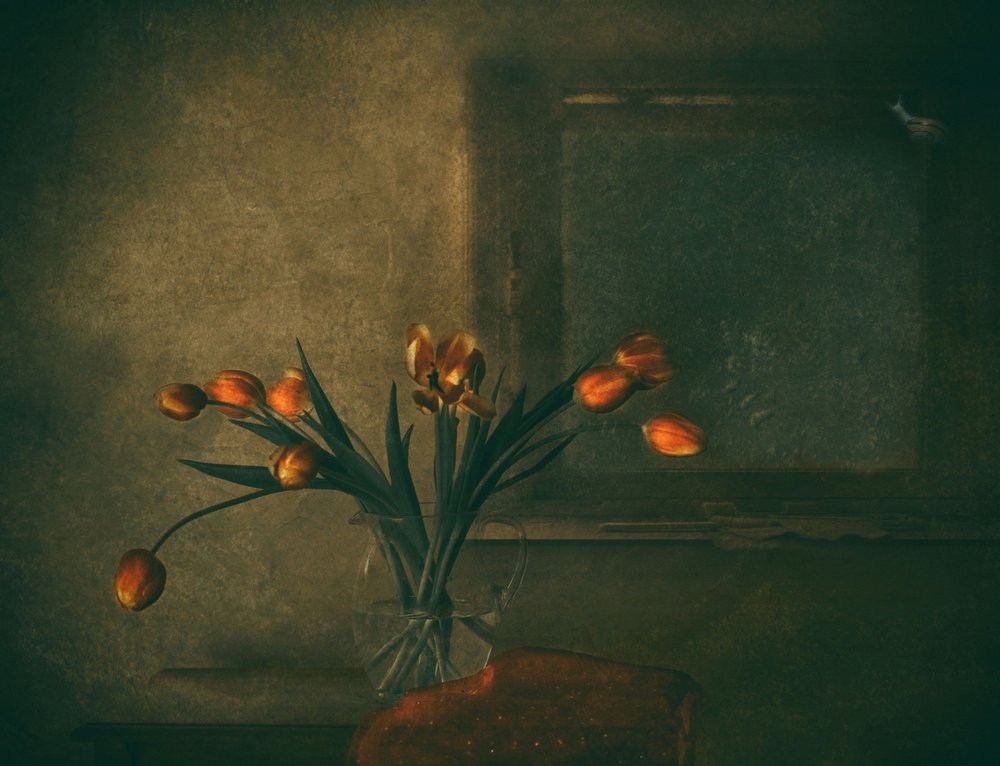  de Delphine Devos