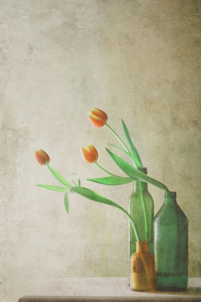  de Delphine Devos
