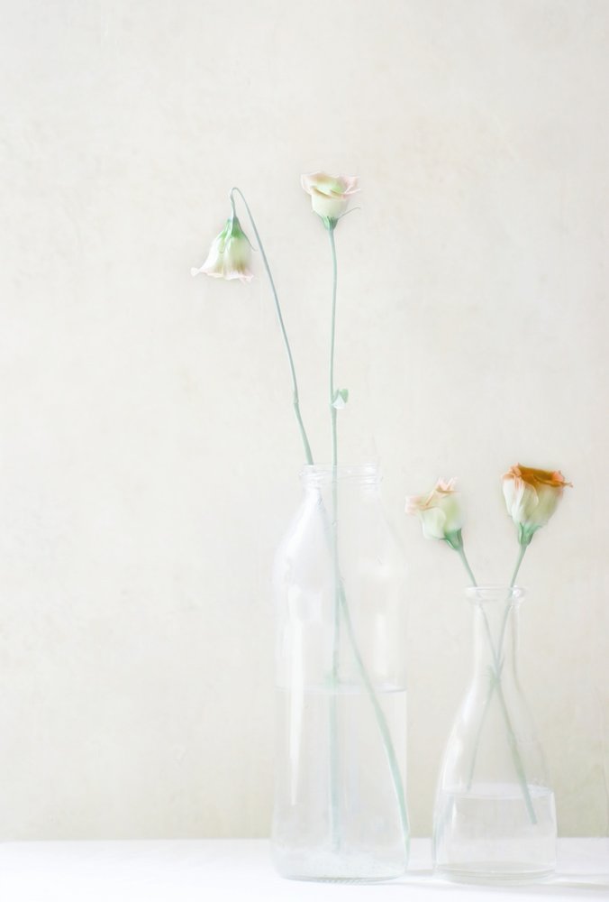 Flores pálidas en un vaso de Delphine Devos