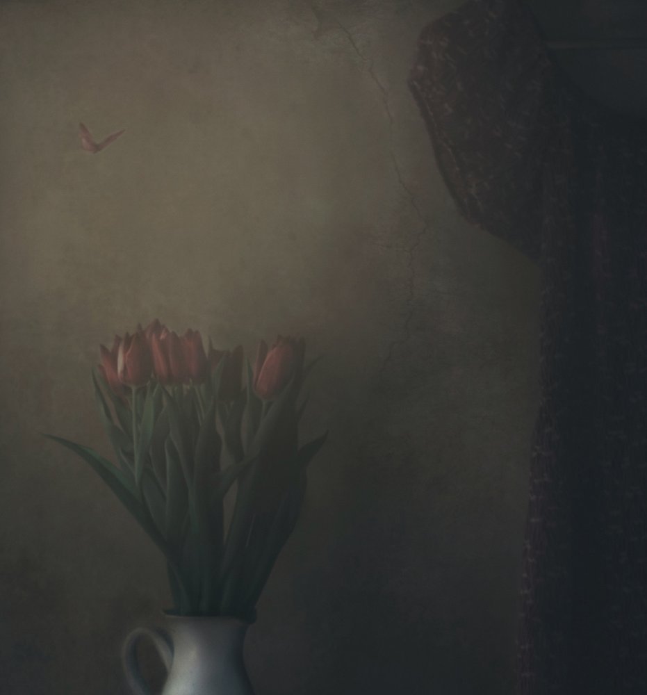  de Delphine Devos
