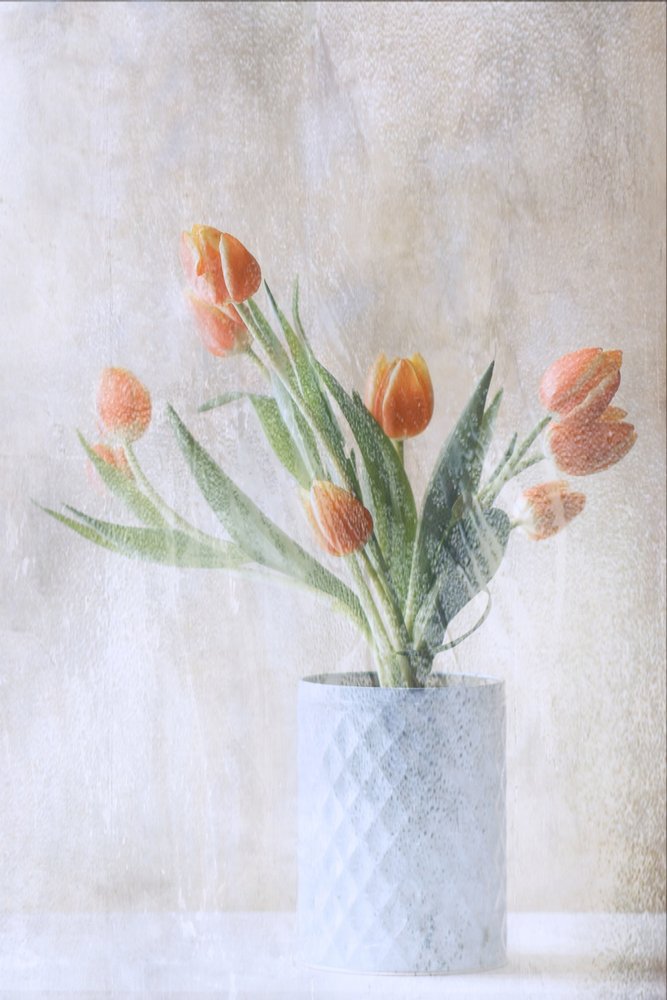  de Delphine Devos