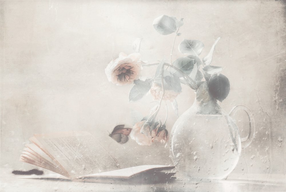  de Delphine Devos