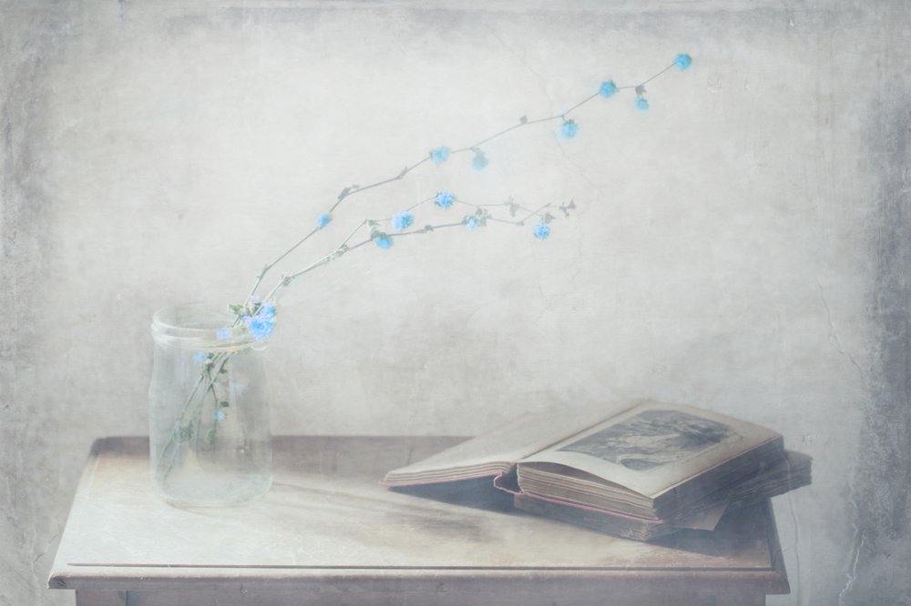  de Delphine Devos
