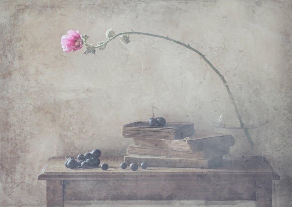  de Delphine Devos
