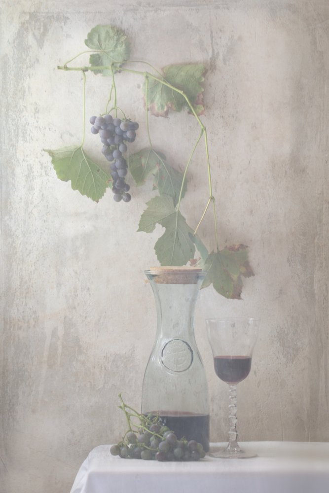 Naturaleza muerta con uvas de cosecha antigua y vino de Delphine Devos