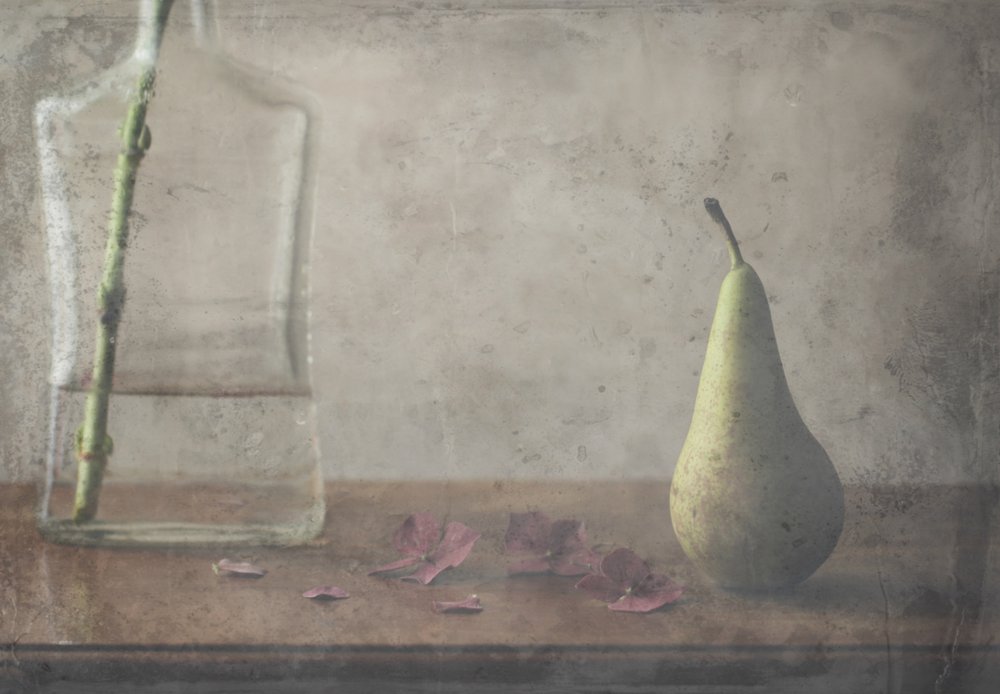  de Delphine Devos