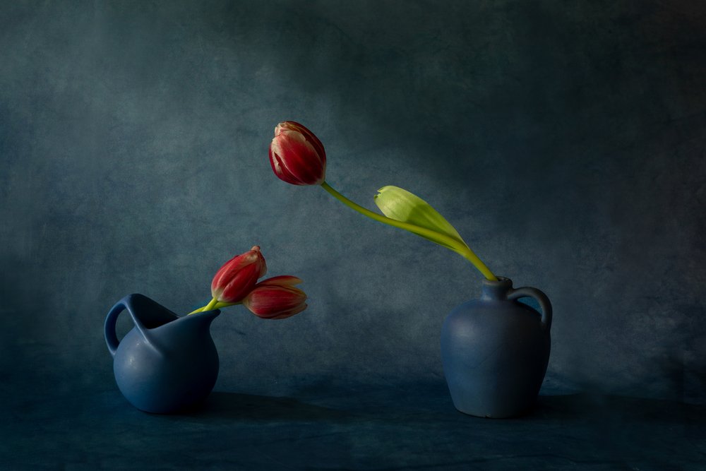 Elegante bodegón de tulipanes de Dennis Zhang