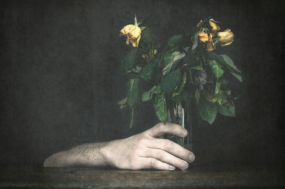 Mano y rosas marchitas de Desislava Ignatova