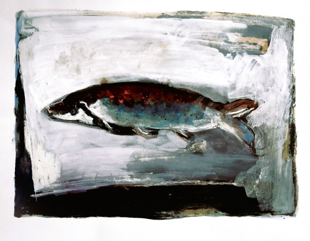Peces de aguas oscuras de Doris Schmitz