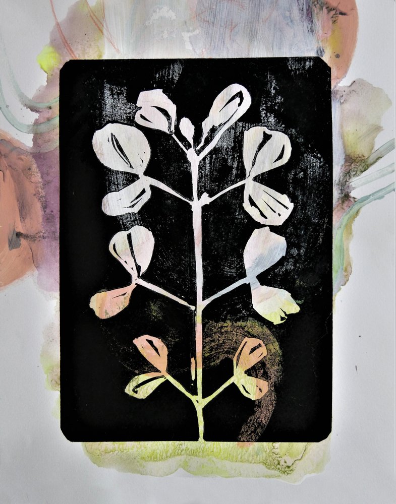 Estudio botánico al pastel de Doris Schmitz