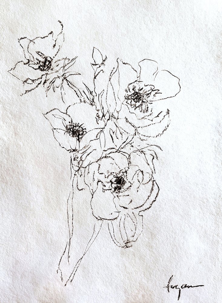 Dibujo floral delicado de Dorothy Fagan