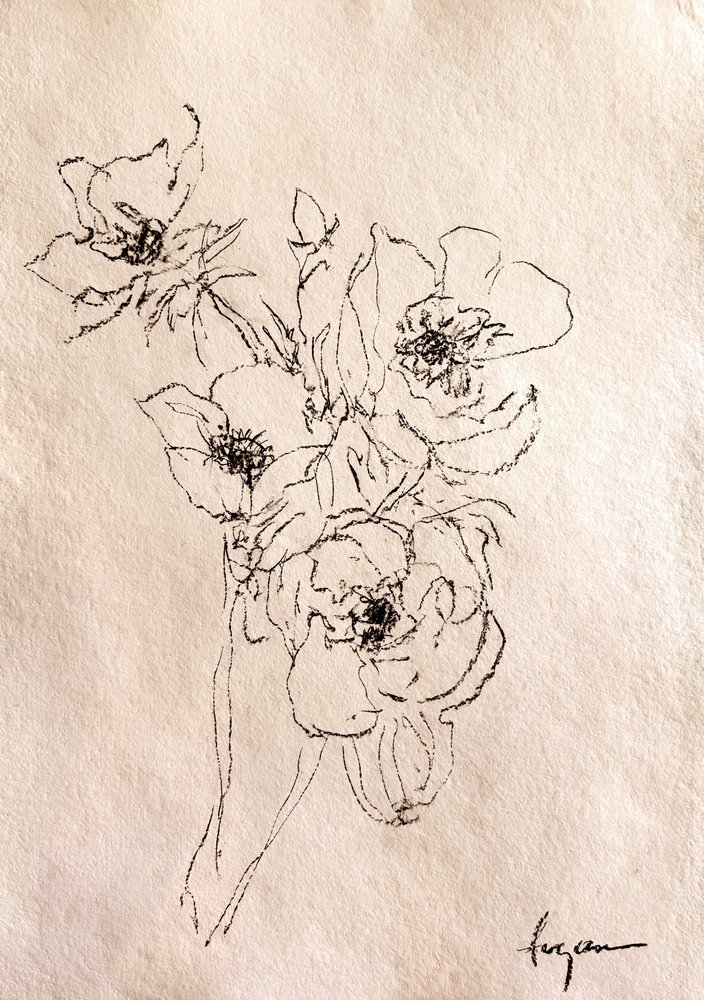 Dibujo floral delicado de Dorothy Fagan
