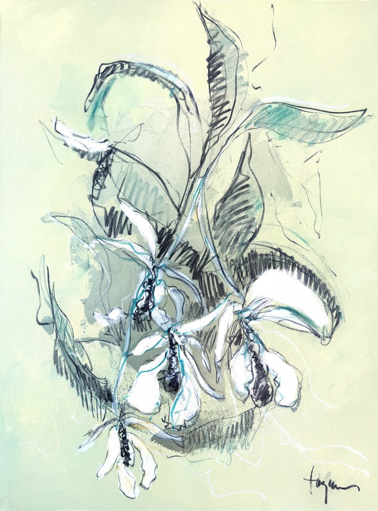Dibujo de una delicada orquídea de Dorothy Fagan