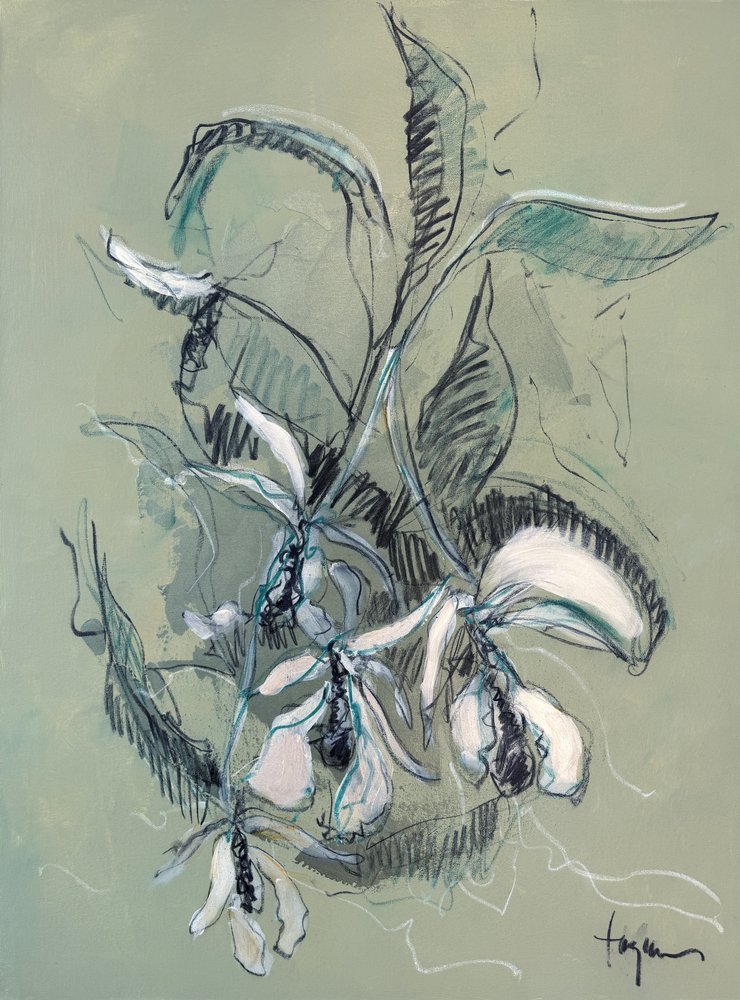 Elegante boceto de una orquídea de Dorothy Fagan