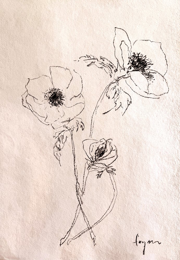 Dibujo minimalista de una flor de Dorothy Fagan
