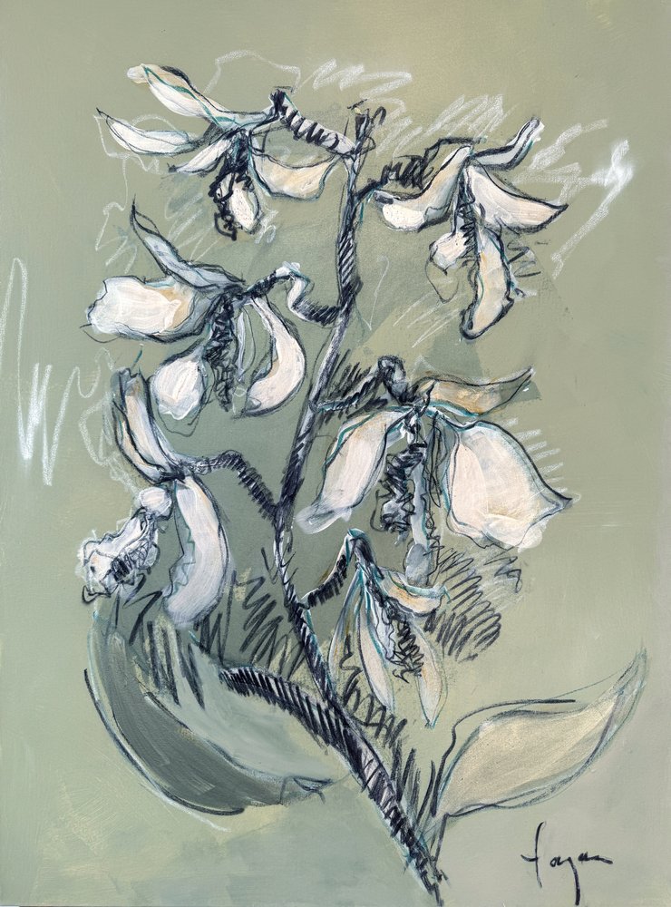 Boceto floral en blanco de Dorothy Fagan