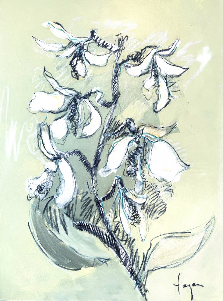 Boceto floral en blanco de Dorothy Fagan