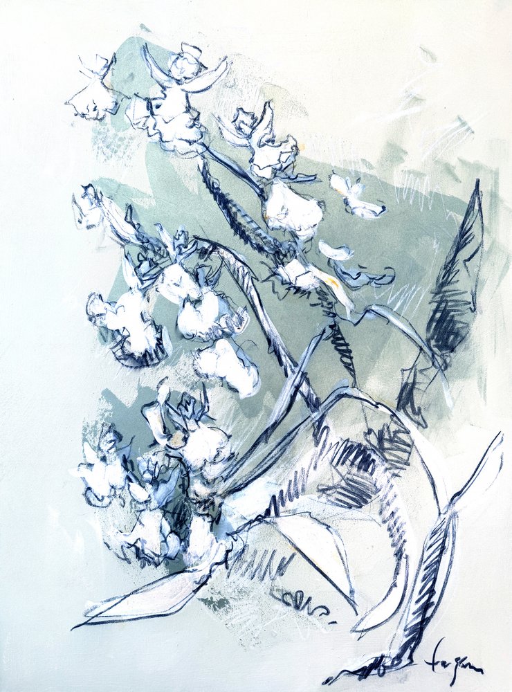 Dibujo de una orquídea blanca de Dorothy Fagan