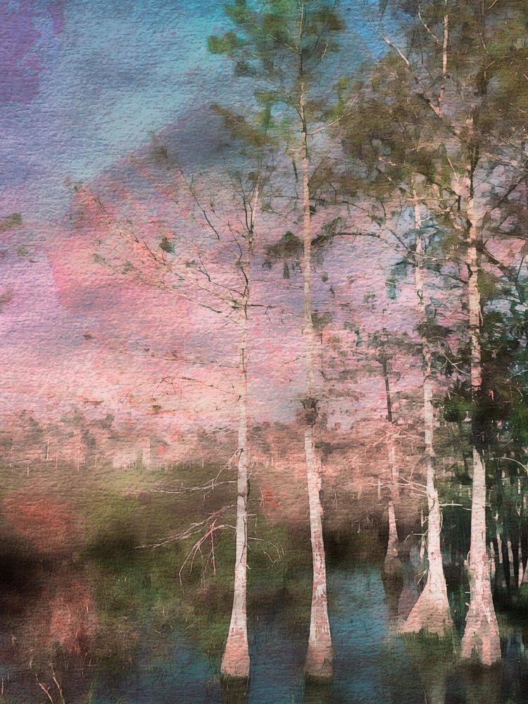  de EDUARDO LLERANDI