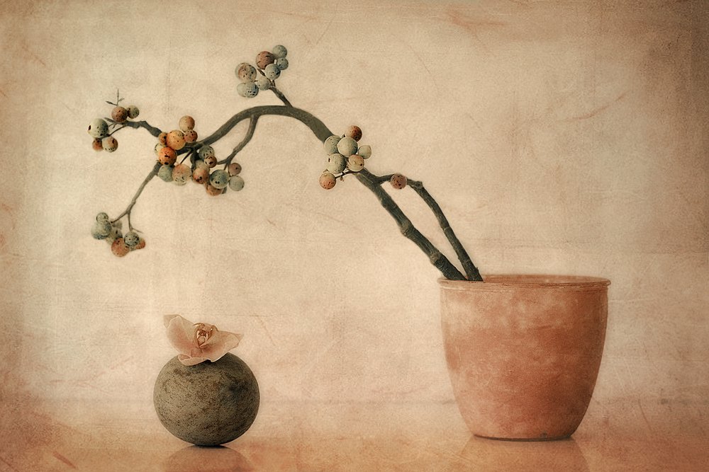 Bayas terrosas y orquídea de Elena Arjona