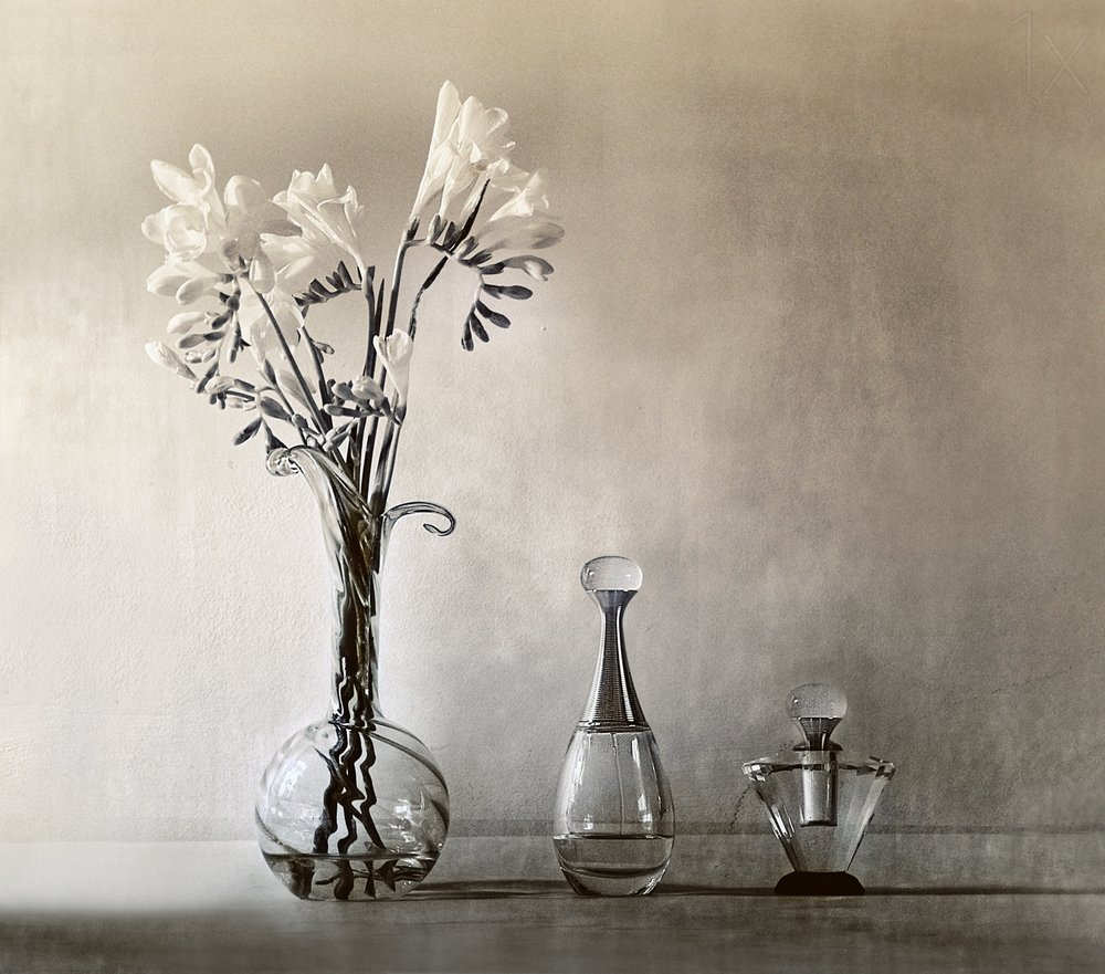 Flores elegantes y perfume de Elena Arjona