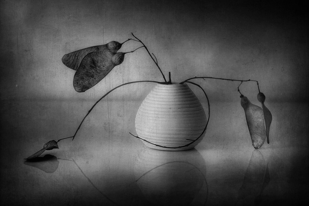 Naturaleza muerta botánica minimalista de Elena Arjona
