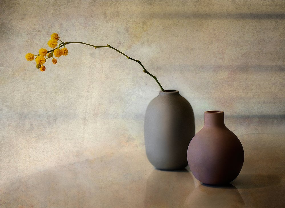 Jarrones florales minimalistas de Elena Arjona