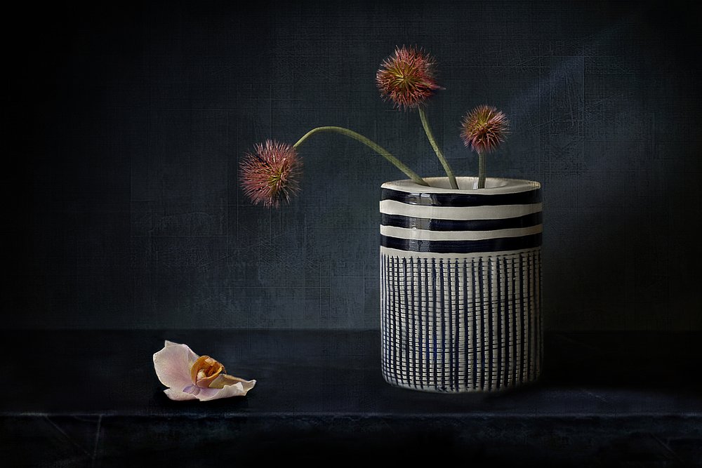 Flores puntiagudas y melancólicas de Elena Arjona